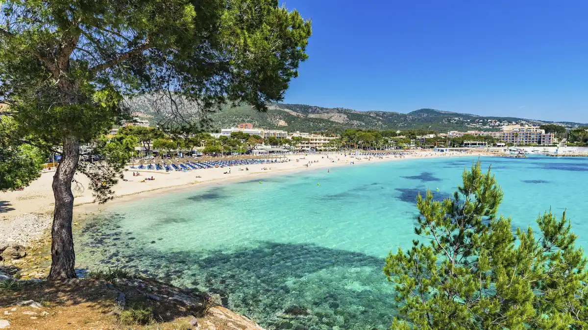 Bild 1 von Spanien –  Mallorca – 4* ILUNION Palmanova Mallorca