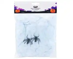 Deko-Spinnennetz mit 2 kleinen Spinnen
