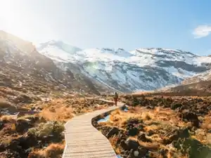 Rundreisen Neuseeland : Flexible Mietwagen-Rundreise ab Auckland bis Christchurch: Neuseeland