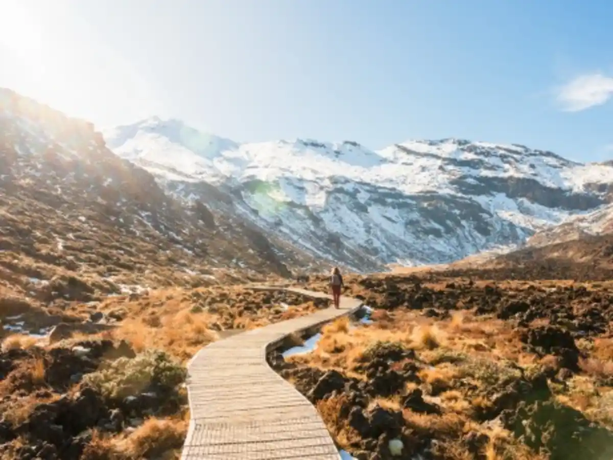 Bild 1 von Rundreisen Neuseeland : Flexible Mietwagen-Rundreise ab Auckland bis Christchurch: Neuseeland