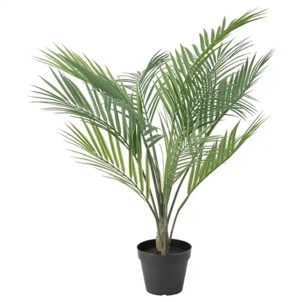 Bild 1 von FEJKA Topfpflanze, künstlich, drinnen/draußen Goldfruchtpalme, 12 cm