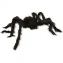 Bild 1 von Riesenspinne