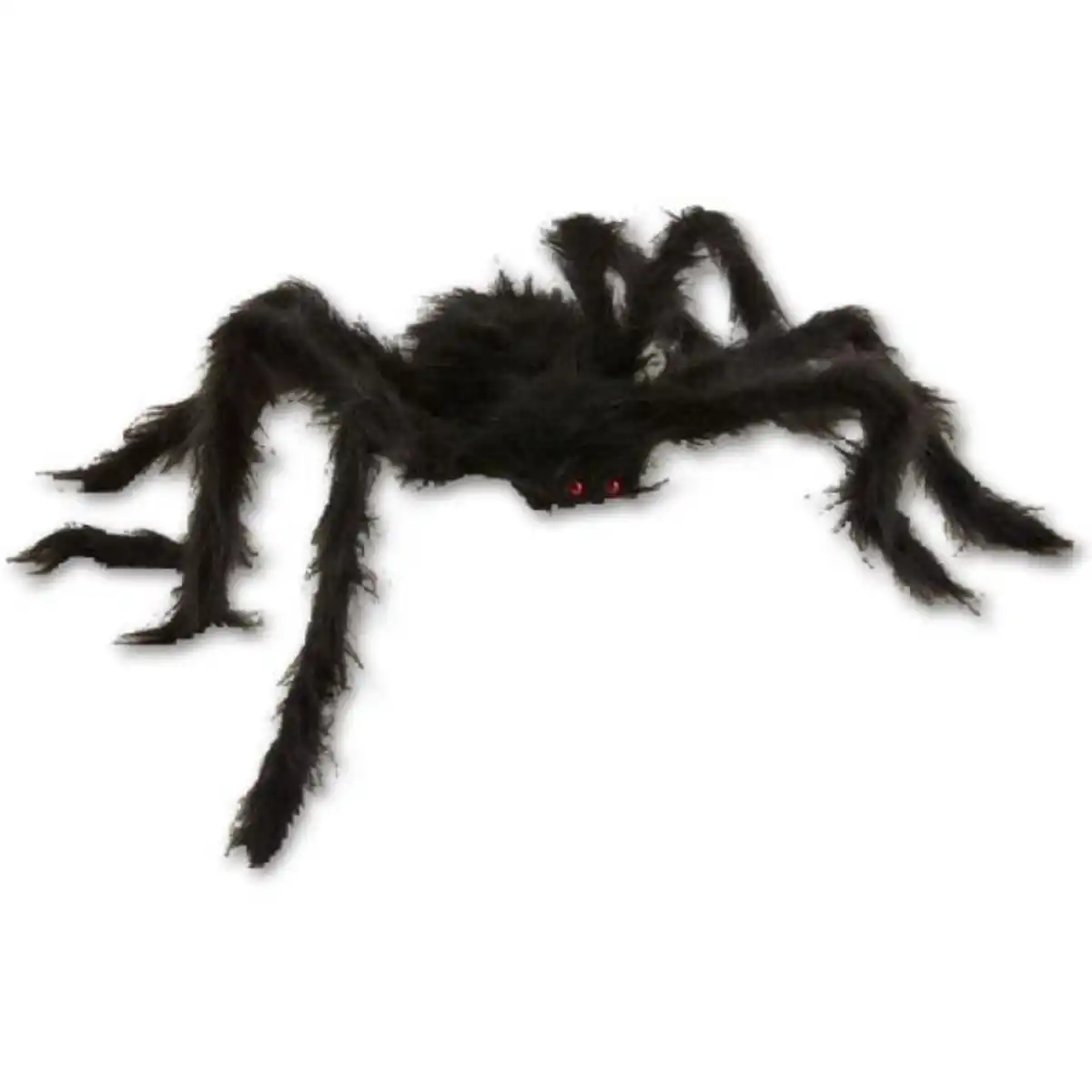 Bild 1 von Riesenspinne