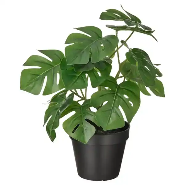 Bild 1 von FEJKA Topfpflanze, künstlich, drinnen/draußen Monstera, 12 cm
