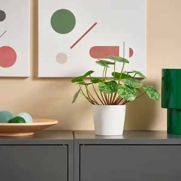 Bild 2 von FEJKA Topfpflanze, künstlich, drinnen/draußen Ufopflanze, 9 cm