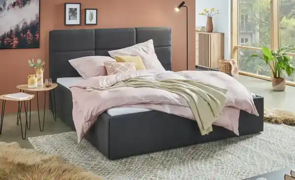 Bild 3 von Polsterbett Dursley