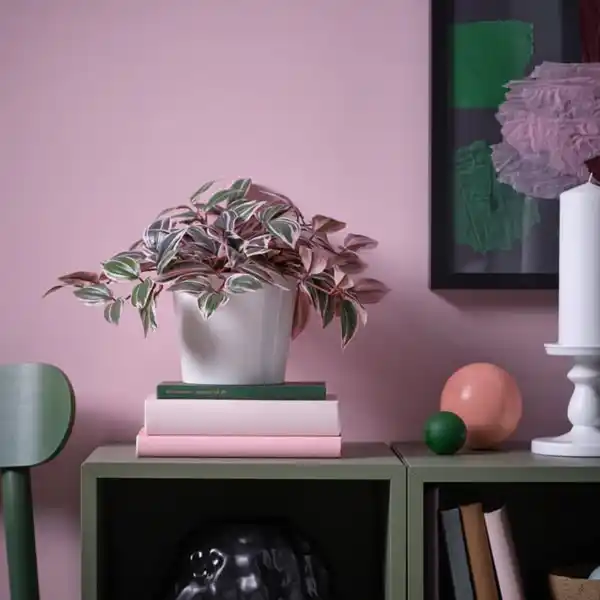 Bild 2 von FEJKA Topfpflanze, künstlich, drinnen/draußen Dreimasterblume/lila, 12 cm