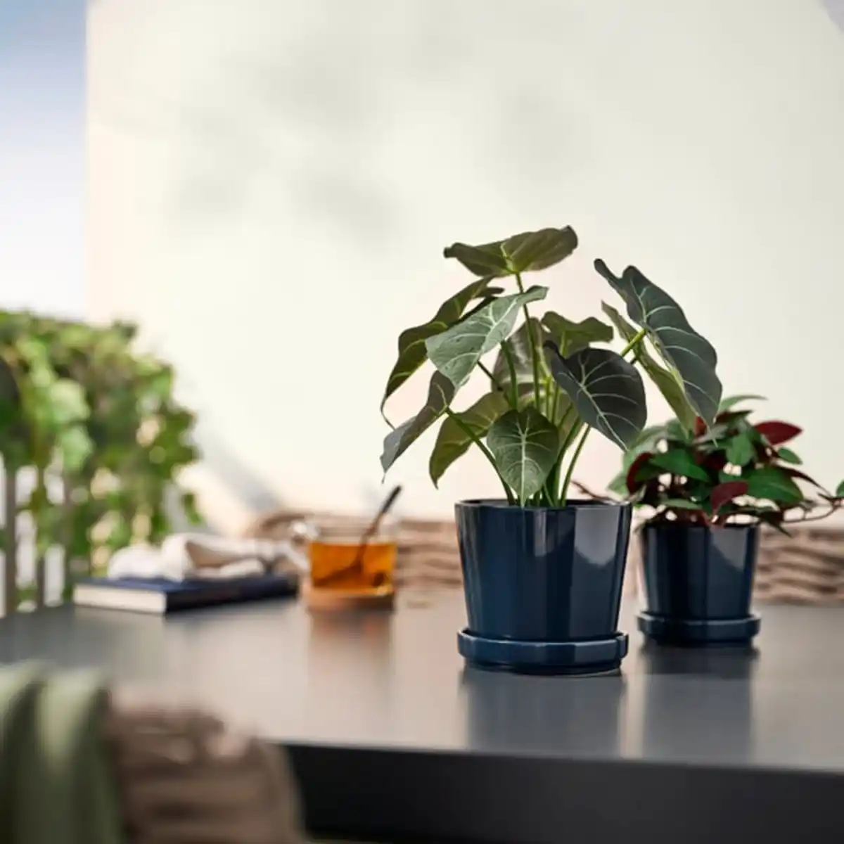 Bild 3 von FEJKA Topfpflanze, künstlich, drinnen/draußen Alokasie, 12 cm