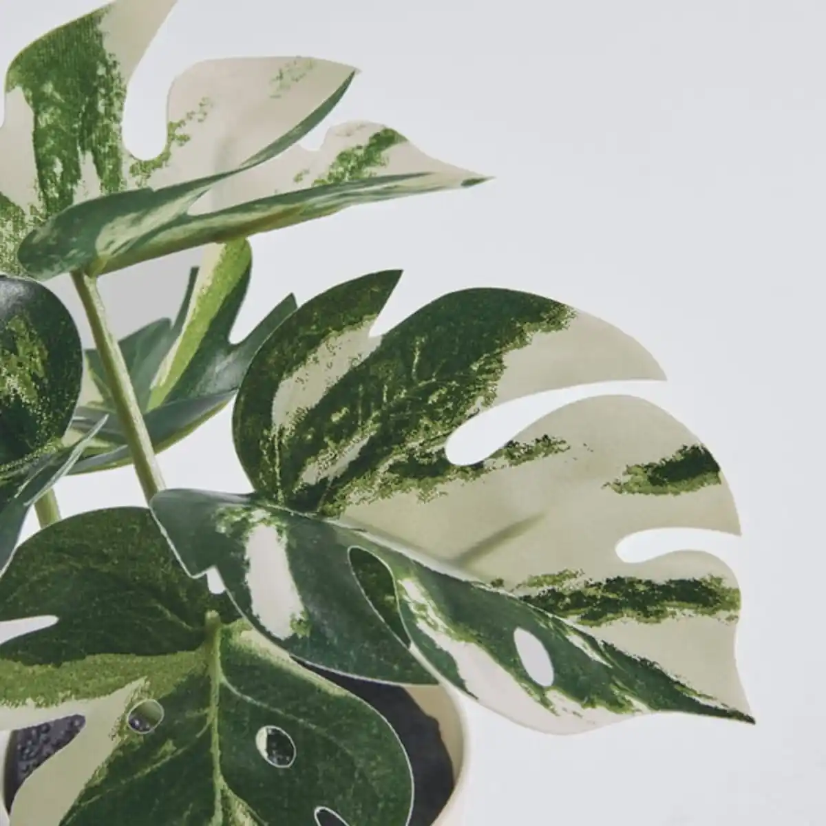 Bild 3 von FEJKA Topfpflanze, künstlich/mit Topf, drinnen/draußen Monstera, 6 cm