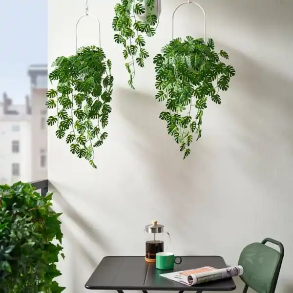 Bild 3 von FEJKA Topfpflanze, künstlich, drinnen/draußen hängend/Monstera, 9 cm