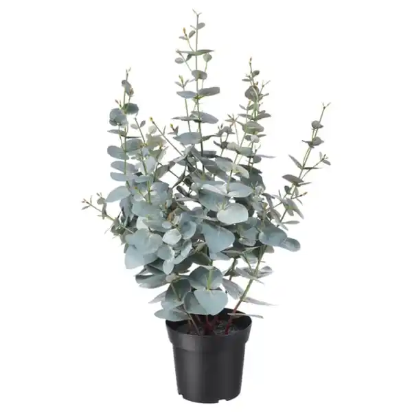 Bild 1 von FEJKA Topfpflanze, künstlich, drinnen/draußen Eukalyptus, 15 cm