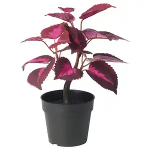 FEJKA Topfpflanze, künstlich, drinnen/draußen Buntnessel/rot, 9 cm