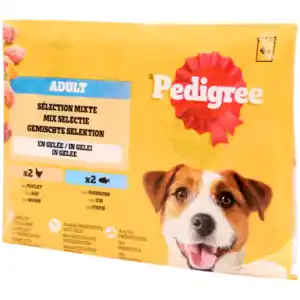 Pedigree Hundefutter Huhn & Fisch