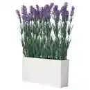 Bild 1 von FEJKA Topfpflanze, künstlich/mit Topf, drinnen/draußen Lavendel