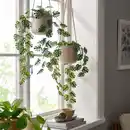 Bild 2 von FEJKA Topfpflanze, künstlich, drinnen/draußen hängend/Monstera, 9 cm