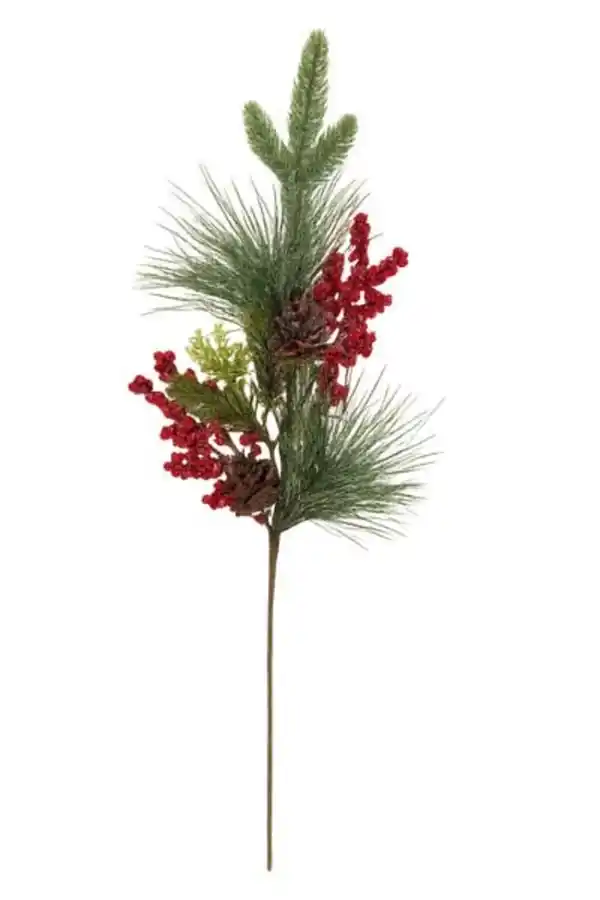 Bild 1 von Tannenzweig mit Beeren