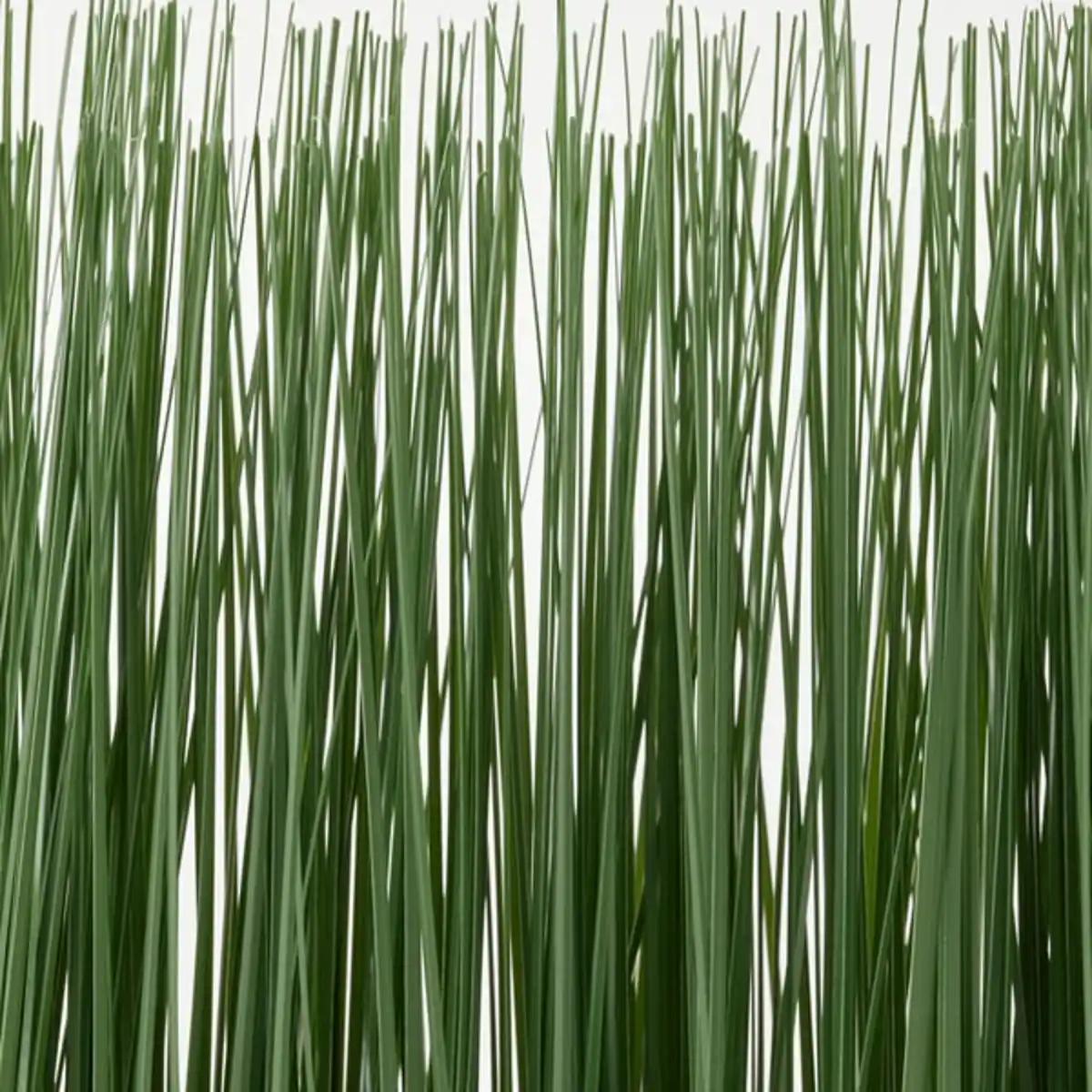 Bild 3 von FEJKA Topfpflanze, künstlich/mit Topf, drinnen/draußen Gras