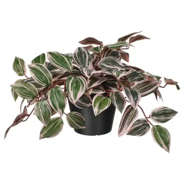 Bild 1 von FEJKA Topfpflanze, künstlich, drinnen/draußen Dreimasterblume/lila, 12 cm