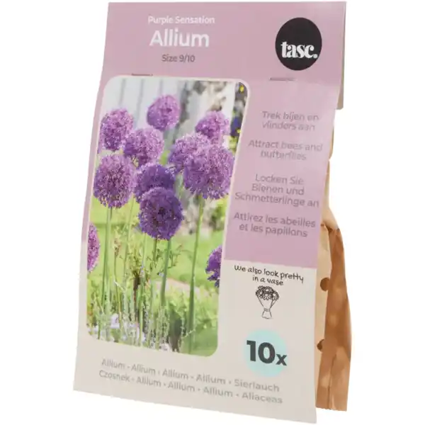 Bild 2 von Blumenzwiebeln