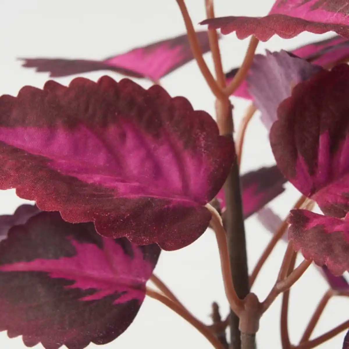 Bild 4 von FEJKA Topfpflanze, künstlich, drinnen/draußen Buntnessel/rot, 9 cm