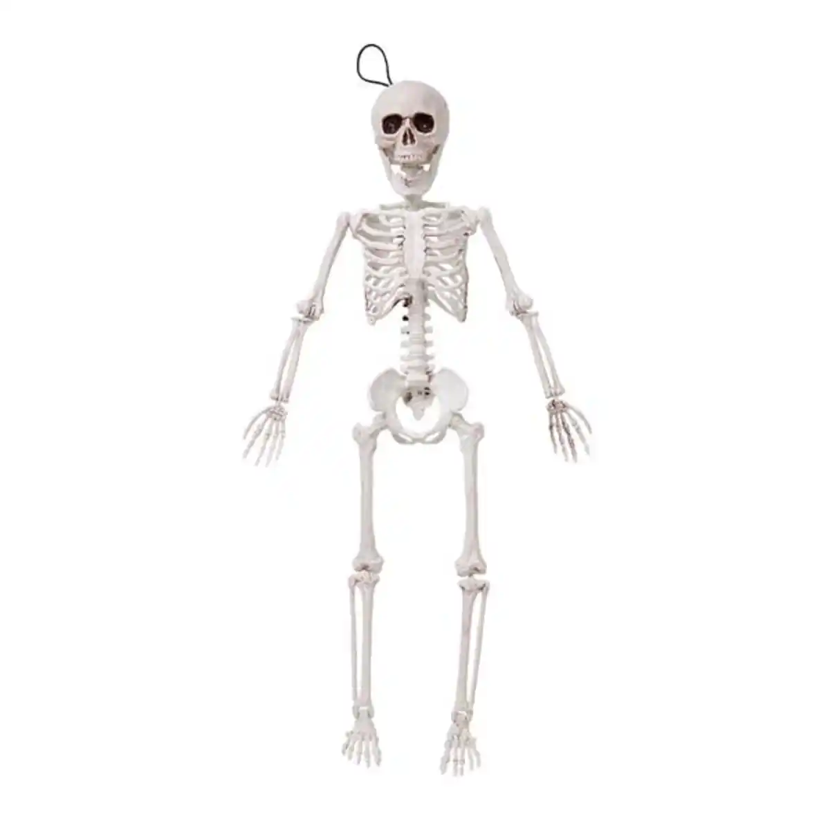 Bild 1 von Skelett Dekoration