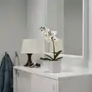 Bild 2 von FEJKA Topfpflanze, künstlich, Orchidee weiß, 9 cm
