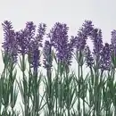 Bild 3 von FEJKA Topfpflanze, künstlich/mit Topf, drinnen/draußen Lavendel