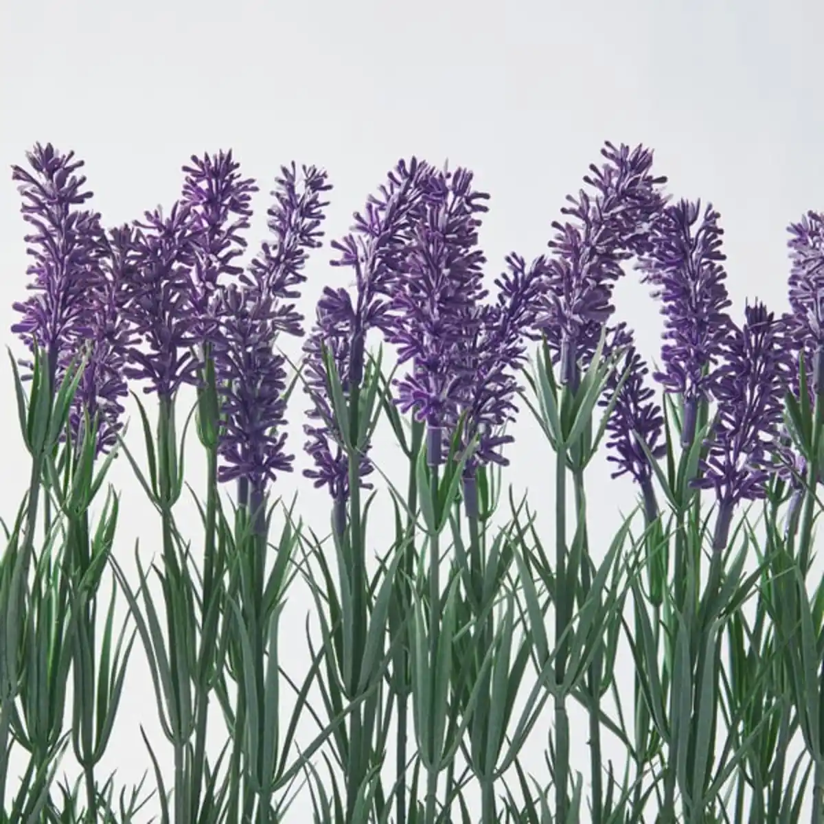 Bild 3 von FEJKA Topfpflanze, künstlich/mit Topf, drinnen/draußen Lavendel