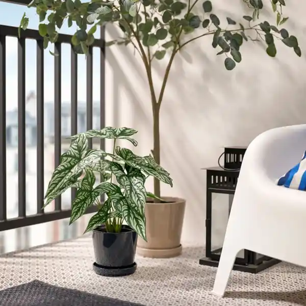 Bild 3 von FEJKA Topfpflanze, künstlich, drinnen/draußen Cercestis mirabilis, 15 cm