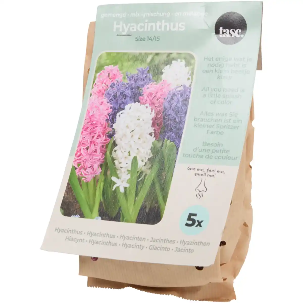 Bild 3 von Blumenzwiebeln