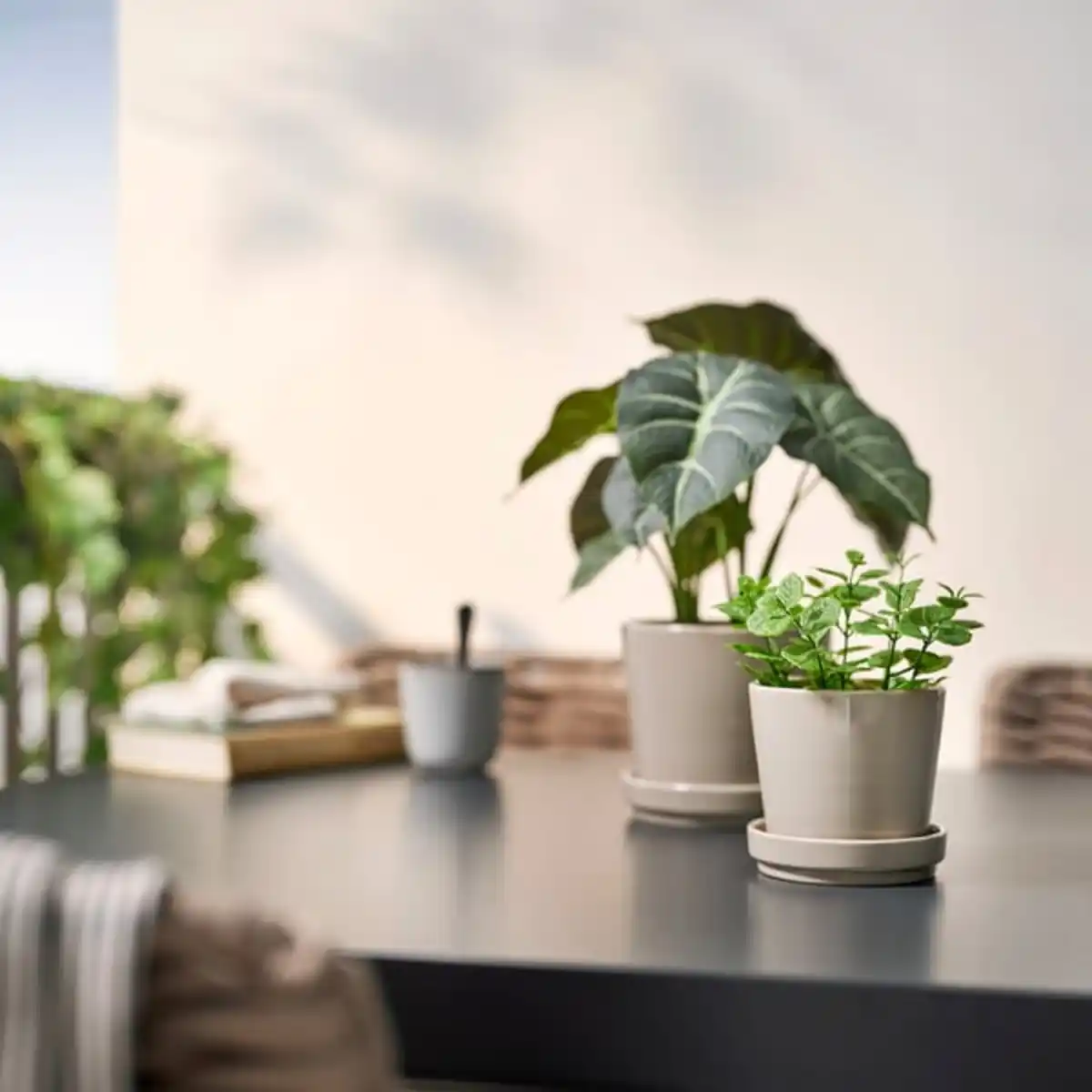 Bild 3 von FEJKA Topfpflanze, künstlich, drinnen/draußen Minze, 9 cm