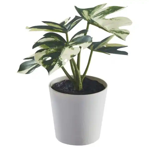 Bild 1 von FEJKA Topfpflanze, künstlich/mit Topf, drinnen/draußen Monstera, 6 cm