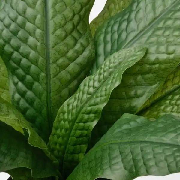 Bild 4 von FEJKA Topfpflanze, künstlich, drinnen/draußen Krokodilfarn, 12 cm