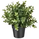 Bild 1 von FEJKA Topfpflanze, künstlich, Oregano, 9 cm