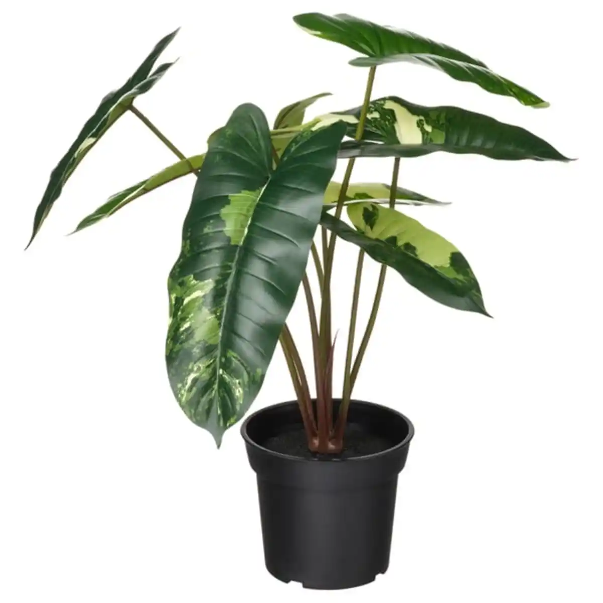 Bild 1 von FEJKA Topfpflanze, künstlich, drinnen/draußen Philodendron/grün/weiß, 15 cm