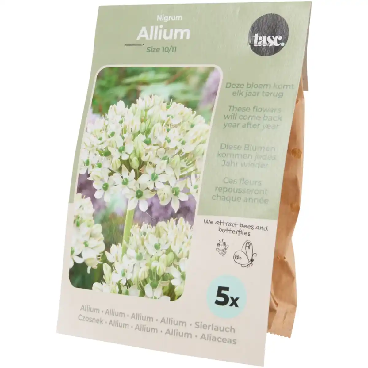 Bild 4 von Blumenzwiebeln