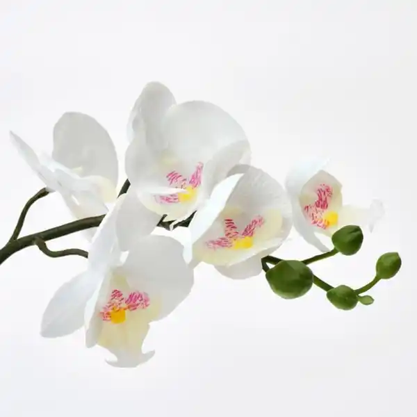 Bild 3 von FEJKA Topfpflanze, künstlich, Orchidee weiß, 9 cm
