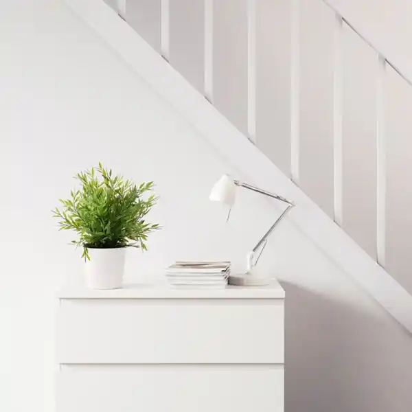 Bild 4 von FEJKA Topfpflanze, künstlich, drinnen/draußen Zimmerbambus, 9 cm