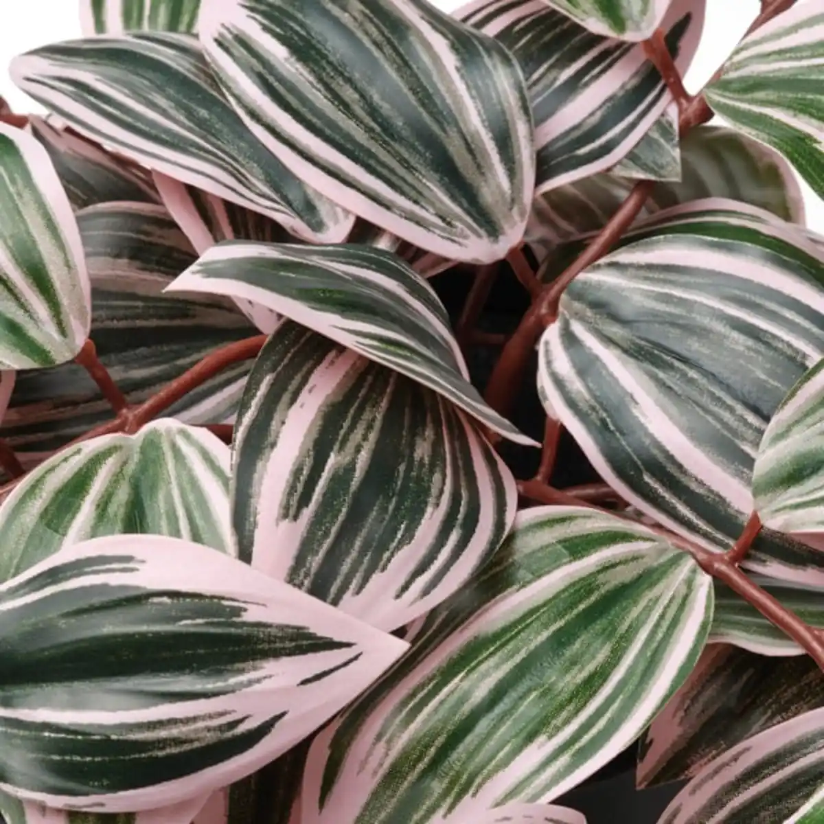 Bild 4 von FEJKA Topfpflanze, künstlich, drinnen/draußen Dreimasterblume/lila, 12 cm