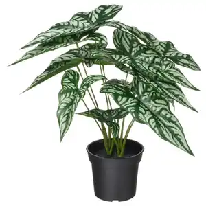 FEJKA Topfpflanze, künstlich, drinnen/draußen Cercestis mirabilis, 15 cm