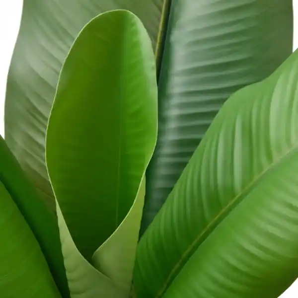 Bild 4 von FEJKA Topfpflanze, künstlich, drinnen/draußen Bananenpflanze, 12 cm