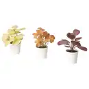 Bild 1 von FEJKA Topfpflanze, künstl/+Topf 3er-Set, drinnen/draußen Blätter, 6 cm