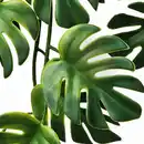 Bild 4 von FEJKA Topfpflanze, künstlich, drinnen/draußen hängend/Monstera, 9 cm