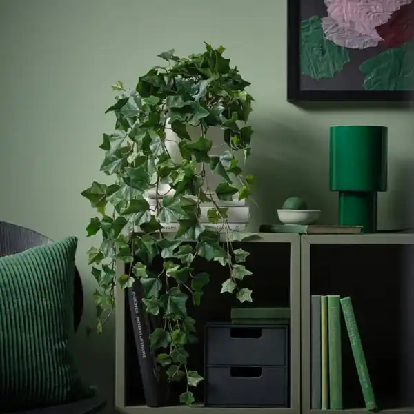 Bild 2 von FEJKA Topfpflanze, künstlich, drinnen/draußen hängend/Efeu, 15 cm