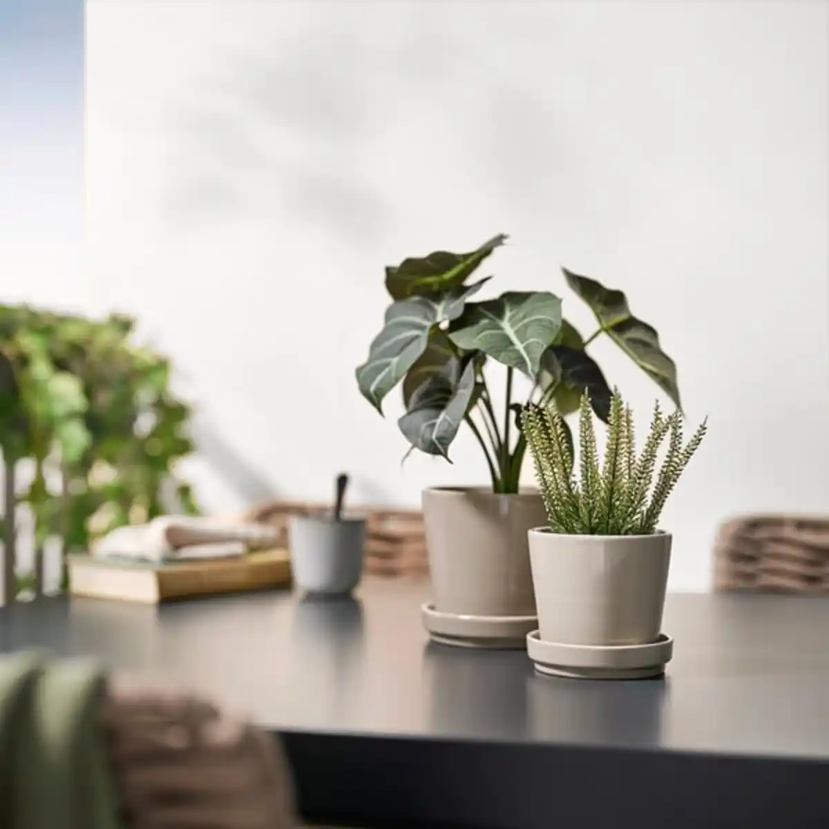 Bild 4 von FEJKA Topfpflanze, künstlich, drinnen/draußen Heidekraut, 9 cm