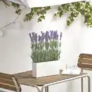 Bild 2 von FEJKA Topfpflanze, künstlich/mit Topf, drinnen/draußen Lavendel