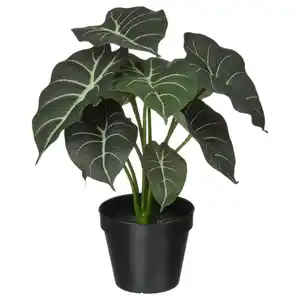 FEJKA Topfpflanze, künstlich, drinnen/draußen Alokasie, 12 cm