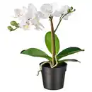 Bild 1 von FEJKA Topfpflanze, künstlich, Orchidee weiß, 9 cm