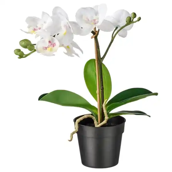 Bild 1 von FEJKA Topfpflanze, künstlich, Orchidee weiß, 9 cm