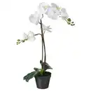Bild 1 von FEJKA Topfpflanze, künstlich, Orchidee weiß, 12 cm